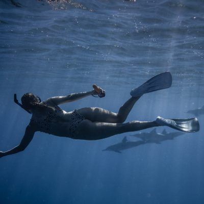 Dive Bags Monthly